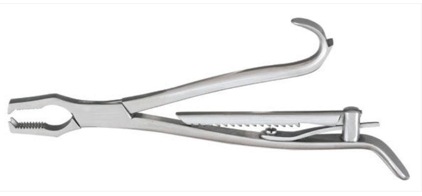 KERN BONE HOLDING FORCEP